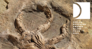 design fiction, speculative design, Fossibilities, silver prize, fossils, future: