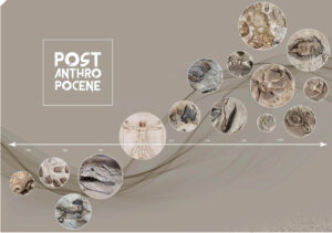 design fiction, speculative design, Fossibilities, silver prize, fossils, future